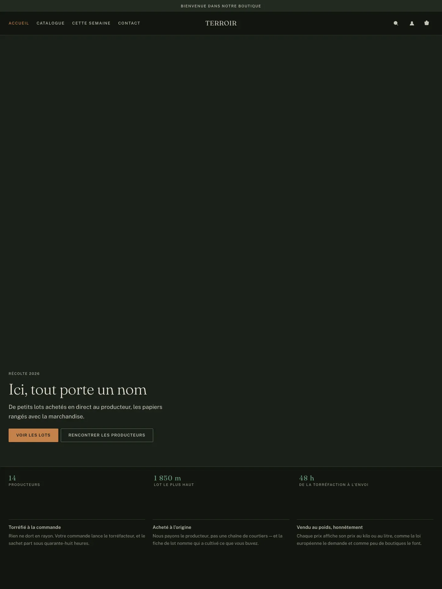 TERROIR — page d’accueil de la boutique de démonstration